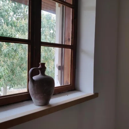 Villa Discover Strandja House Kosti